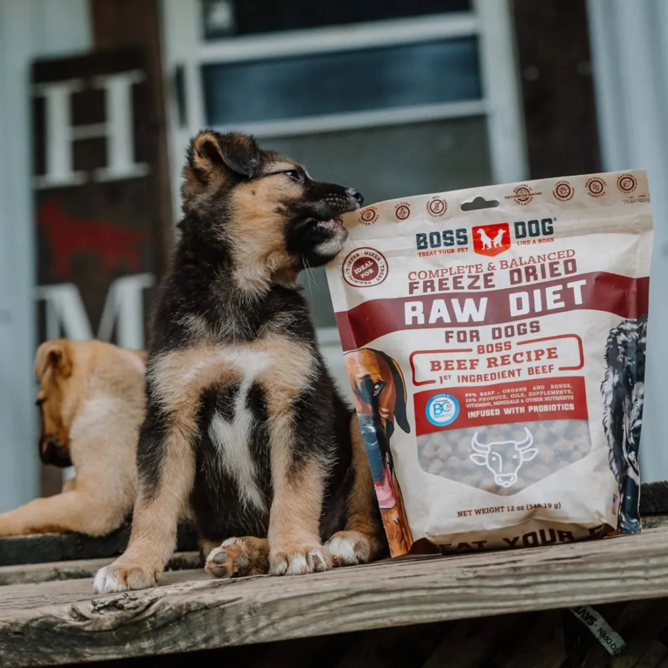 Boss Dog Freeze Dried Dog Food & Topper with Probiotics