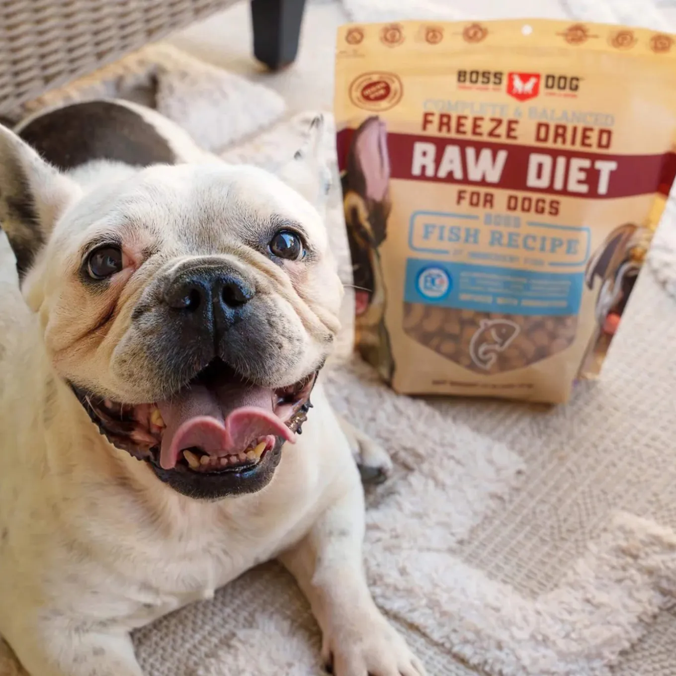 Boss Dog Freeze Dried Dog Food & Topper with Probiotics