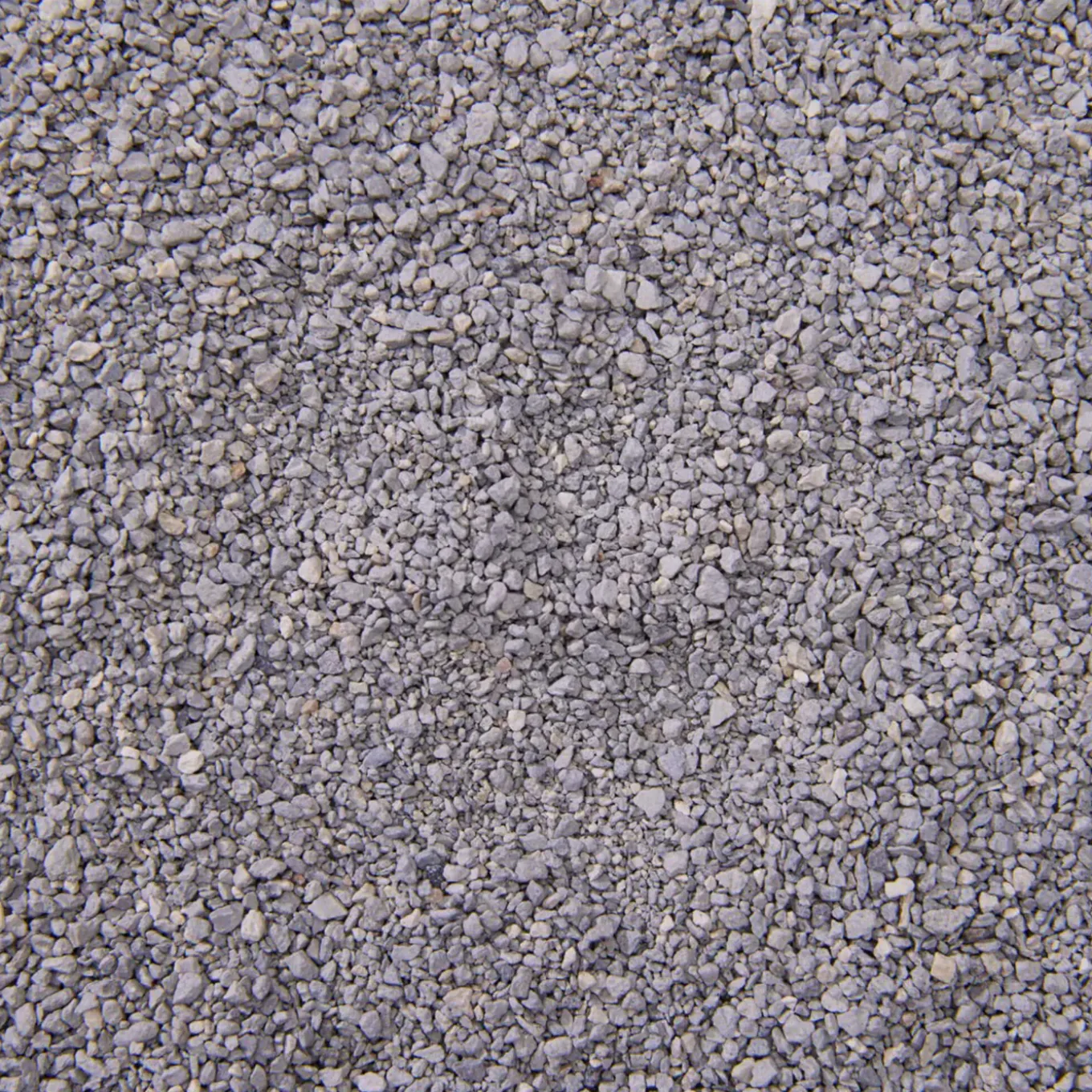 Boxiecat Cat Unscented Premium Clumping Clay Litter