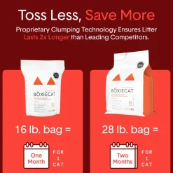 Boxiecat Cat Unscented Premium Clumping Clay Litter