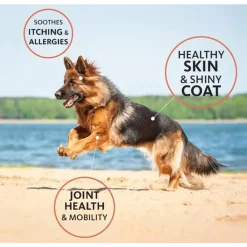 Brilliant Salmon Oil Daily Nutritional Supplement for Dogs & Cats