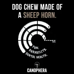 Canophera Sheep Horn Dog Chews