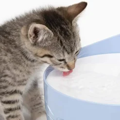Catit PIXI Cat Drinking Fountain