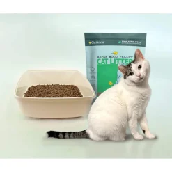 Catkins Aspen Wood Pellet Non-Clumping Cat Litter