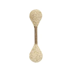 CATWANT Dental Buds Cat Treats