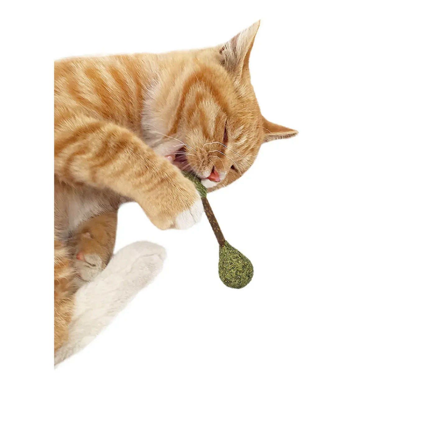 CATWANT Dental Buds Cat Treats