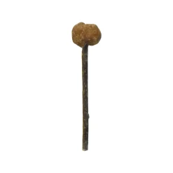 CATWANT Lollipops for Cats