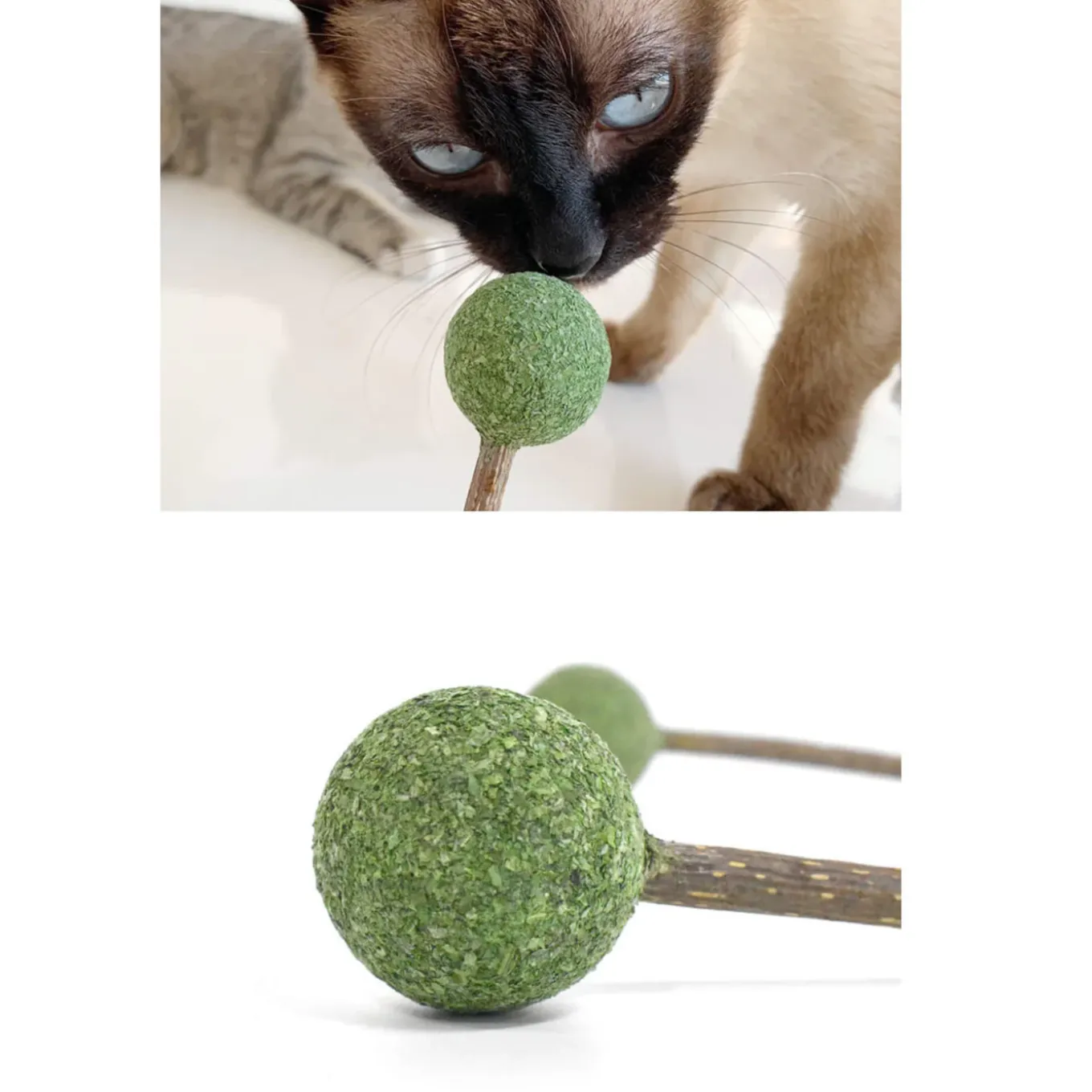 CATWANT Lollipops for Cats