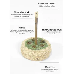 CATWANT Silvervine Birthday Cake Cat Toy