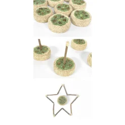 CATWANT Silvervine Birthday Cake Cat Toy