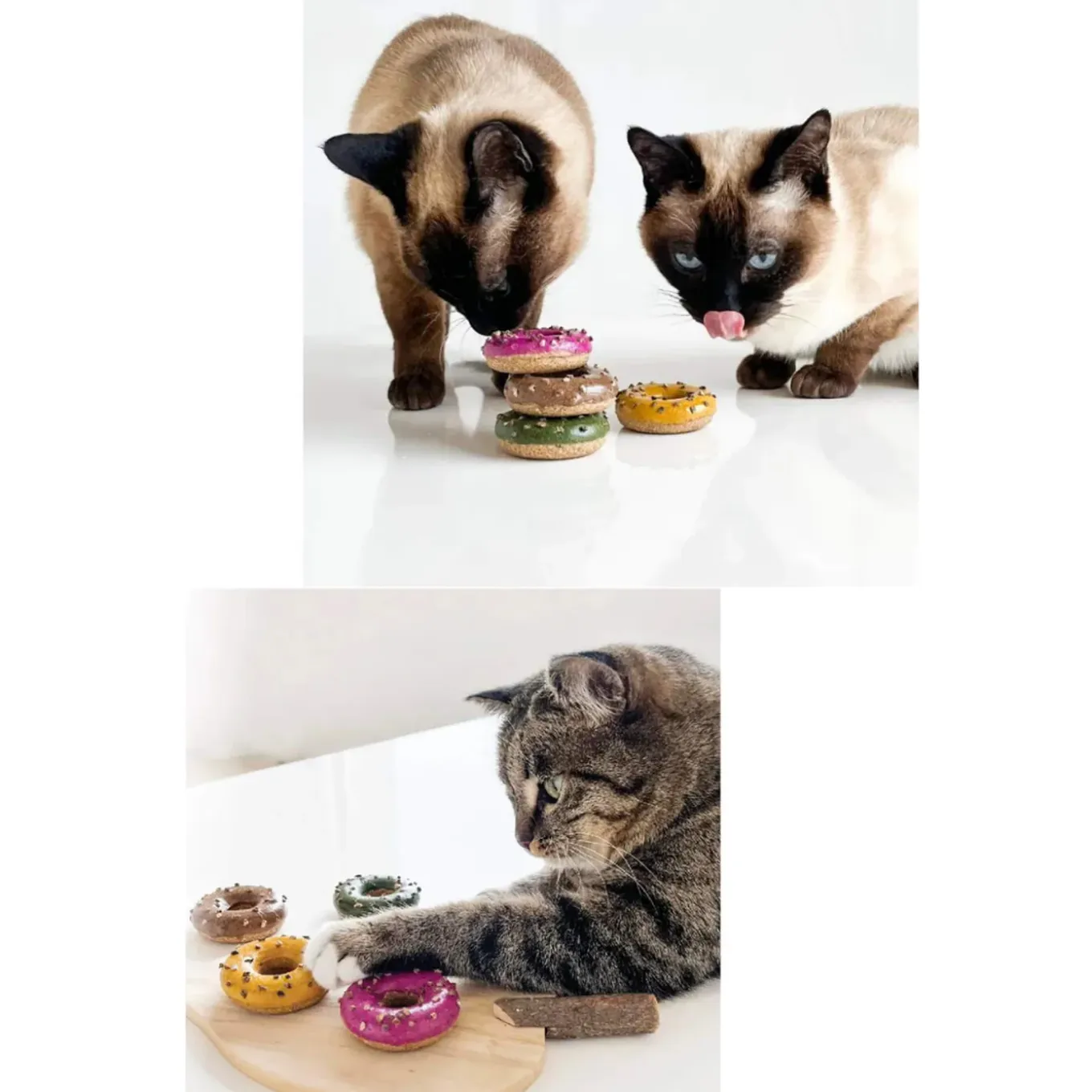 CATWANT Silvervine Donut Cat Toys