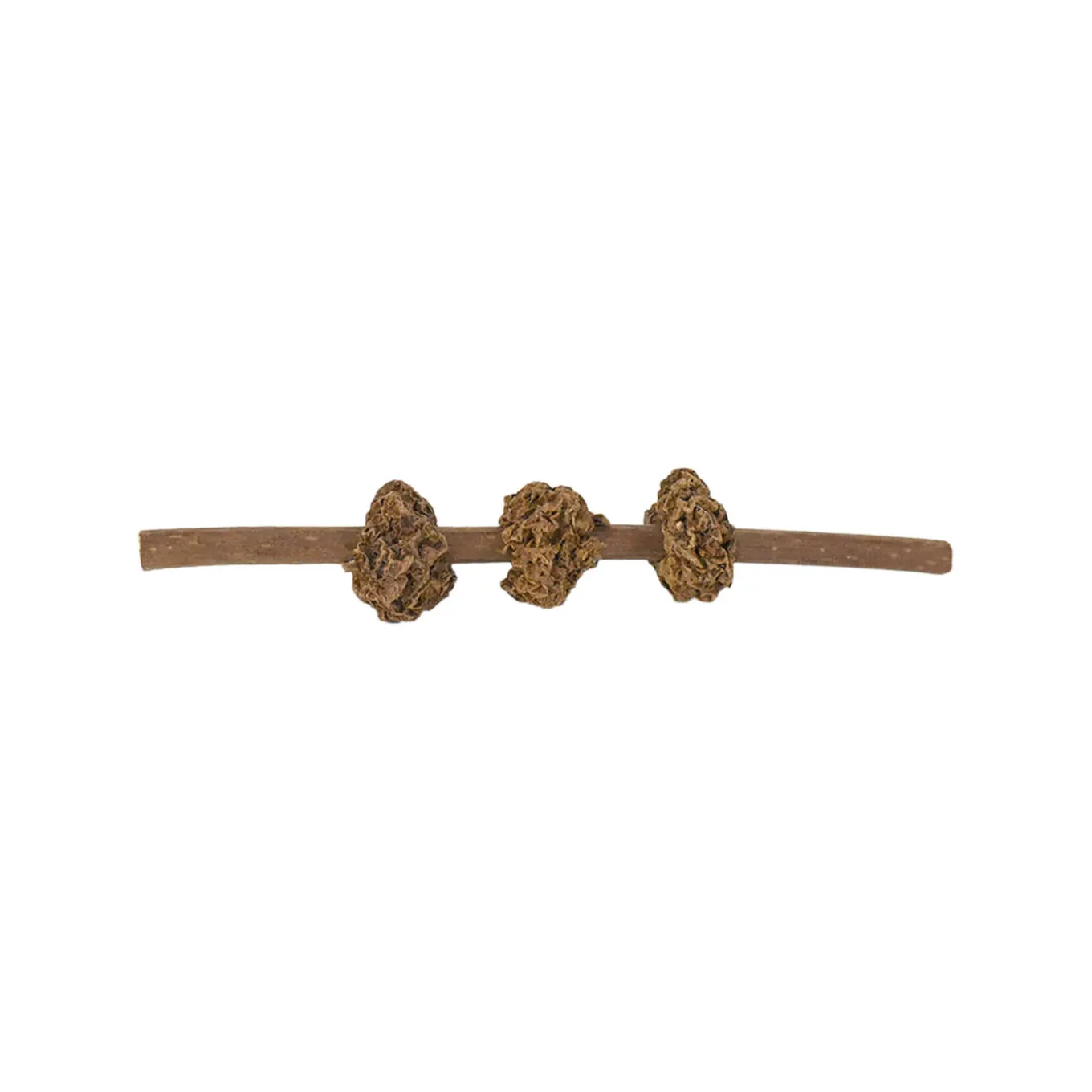 CATWANT Silvervine Gall Fruit Kebab Cat Toy