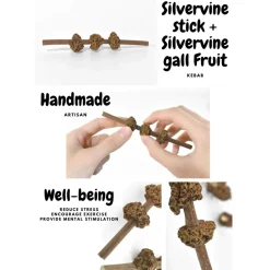 CATWANT Silvervine Gall Fruit Kebab Cat Toy