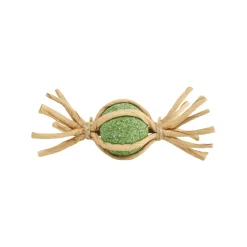 CATWANT Woven Silvervine Gall Fruit Candy Cat Toy
