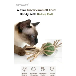 CATWANT Woven Silvervine Gall Fruit Candy Cat Toy