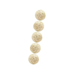 CATWANT Teeth Cleaning Beans for Cats