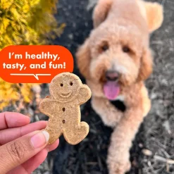 Cloud Star Buddy Biscuits Crunchy Dog Treats