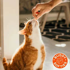 Cloud Star Buddy Softies Grain Free Soft Cat Treats