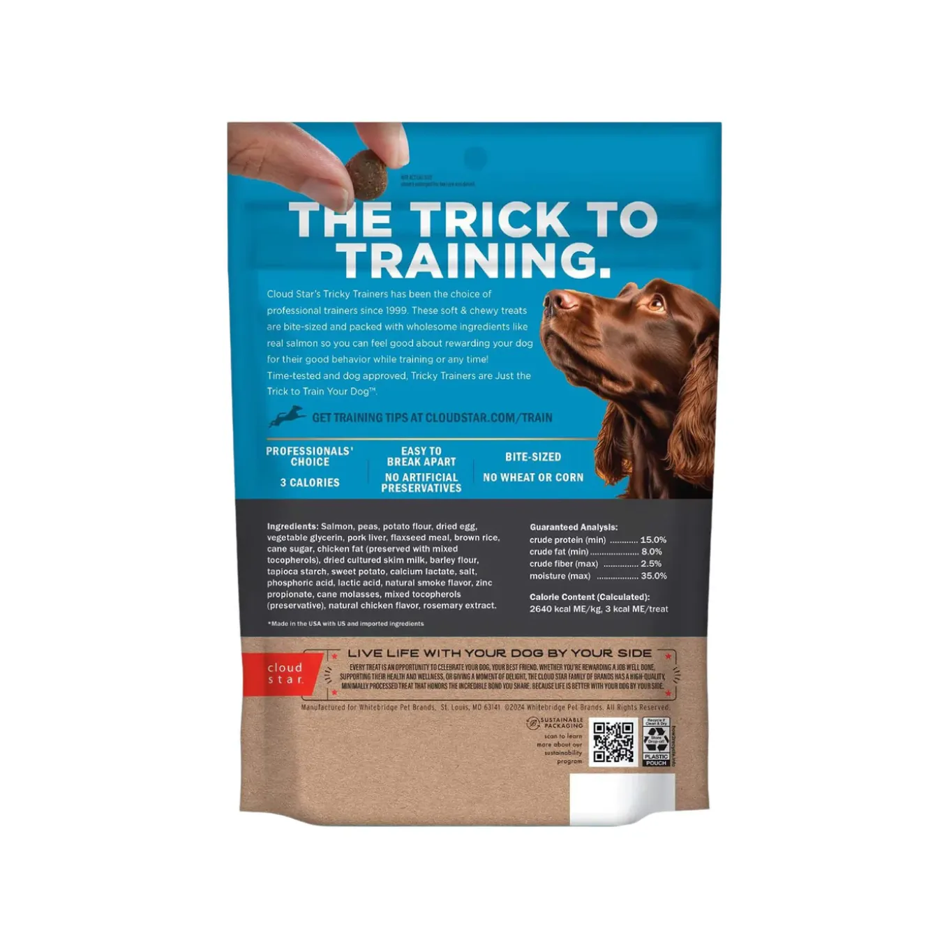 Cloud Star Tricky Trainers Grain-In Soft & Chewy Dog Treats