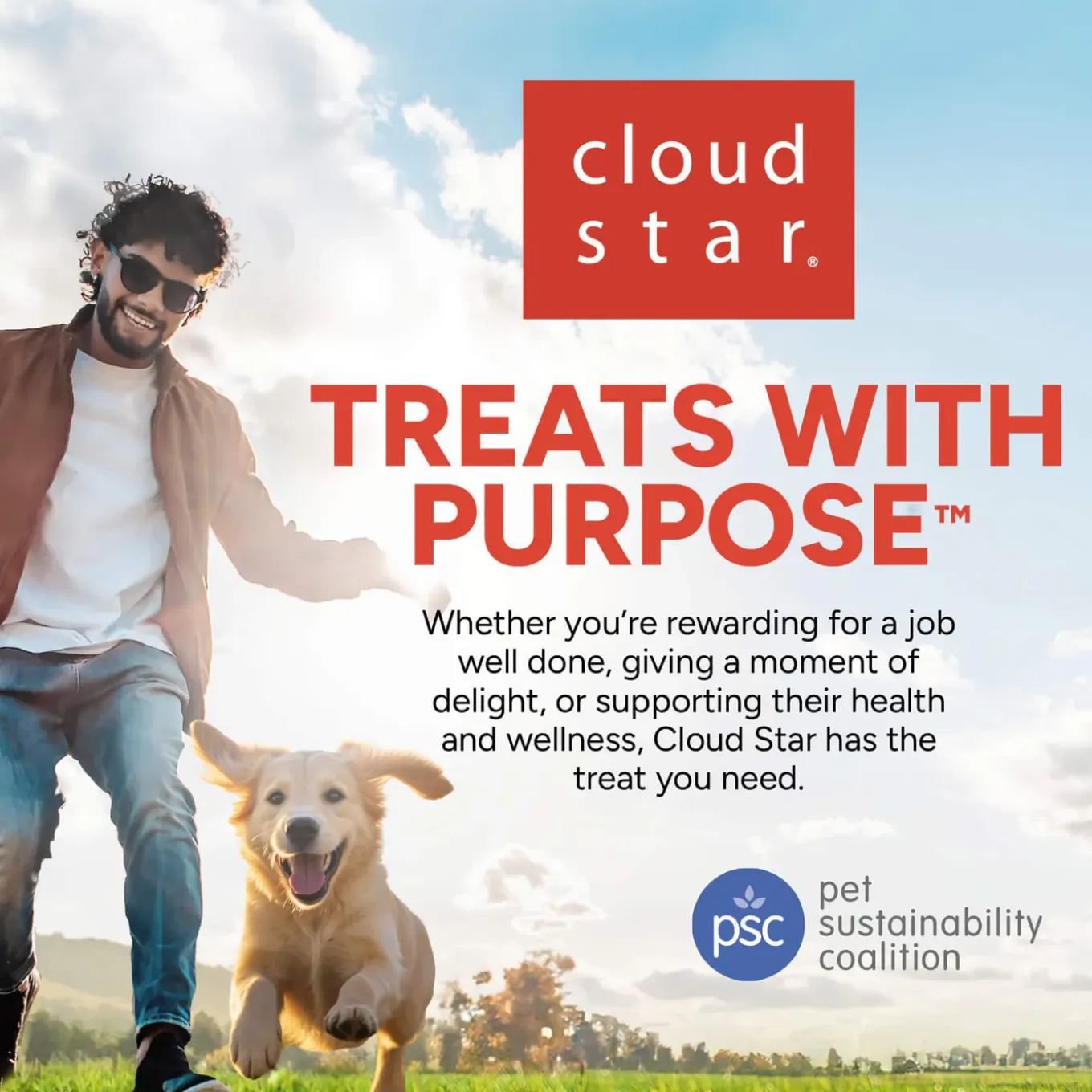 Cloud Star Tricky Trainers Grain-In Soft & Chewy Dog Treats