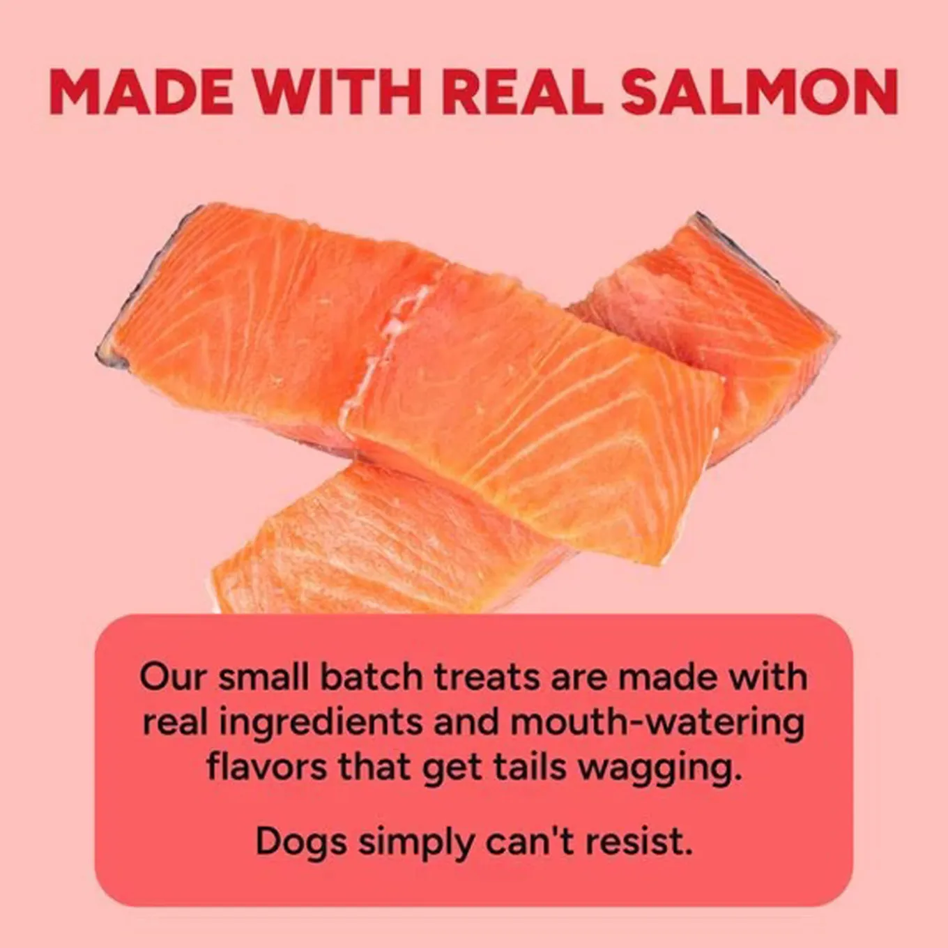 Cloud Star Dynamo Dog Salmon Skin & Coat Functional Soft Chews Dog Treats