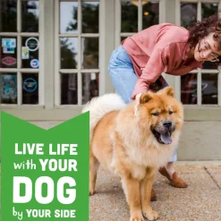 Cloud Star Wag More Bark Less Oven Baked Grain-Free Dog Biscuits