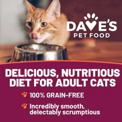 Dave's Pet Food 95% Premium Meats Grain Free Wet Cat Food