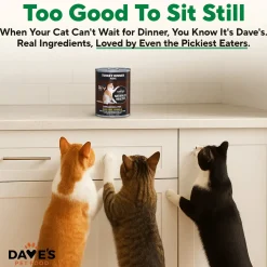Dave's Pet Food Naturally Healthy Pate Grain Free Wet Cat Food