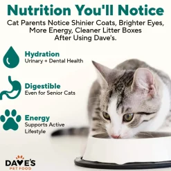 Dave's Pet Food Naturally Healthy Pate Grain Free Wet Cat Food