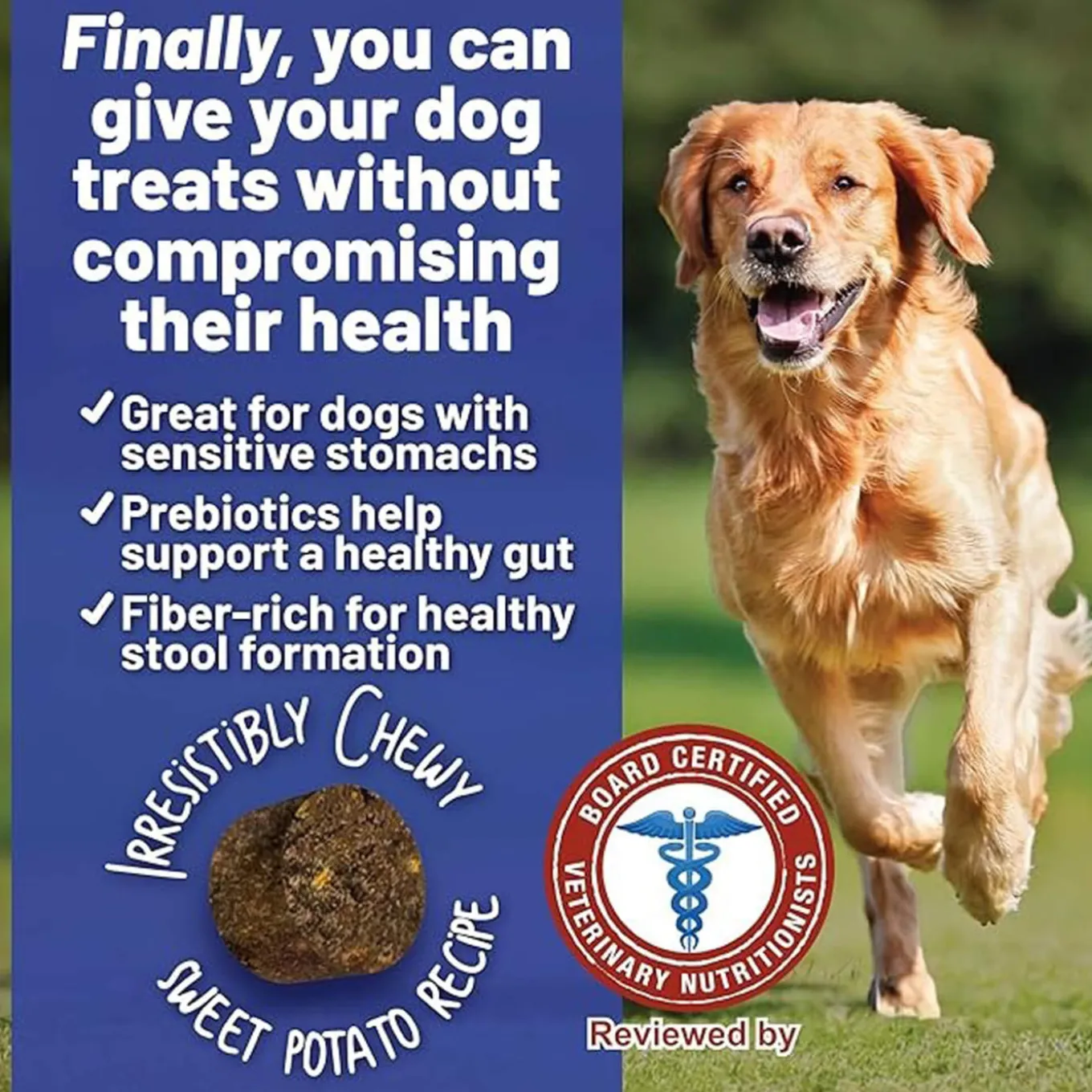 Dave's Pet Food Digestive Friendly Dog Treats