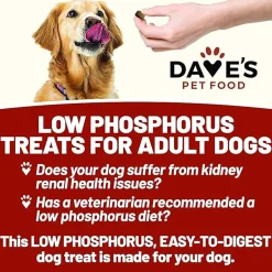 Dave's Pet Food Renal Friendly Dog Treats
