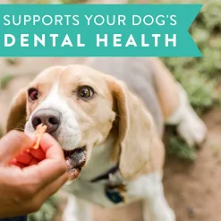Dogswell Chicken Jerky Dental Treats for Dogs