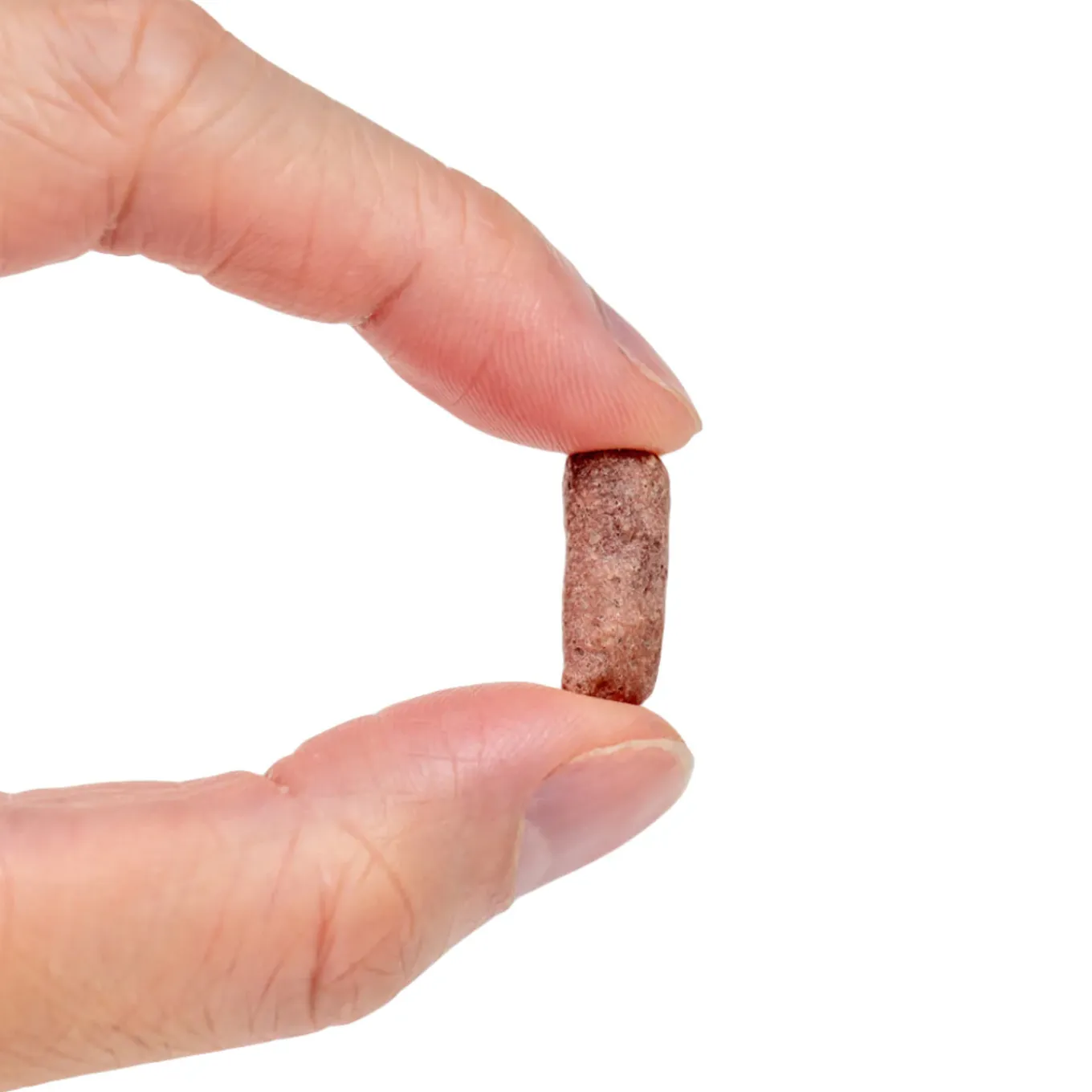 Dr. Harvey's Freeze Dried Treats for Dogs