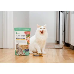 Dr. Marty Nature's Feast Essential Wellness Freeze Dried Cat Food