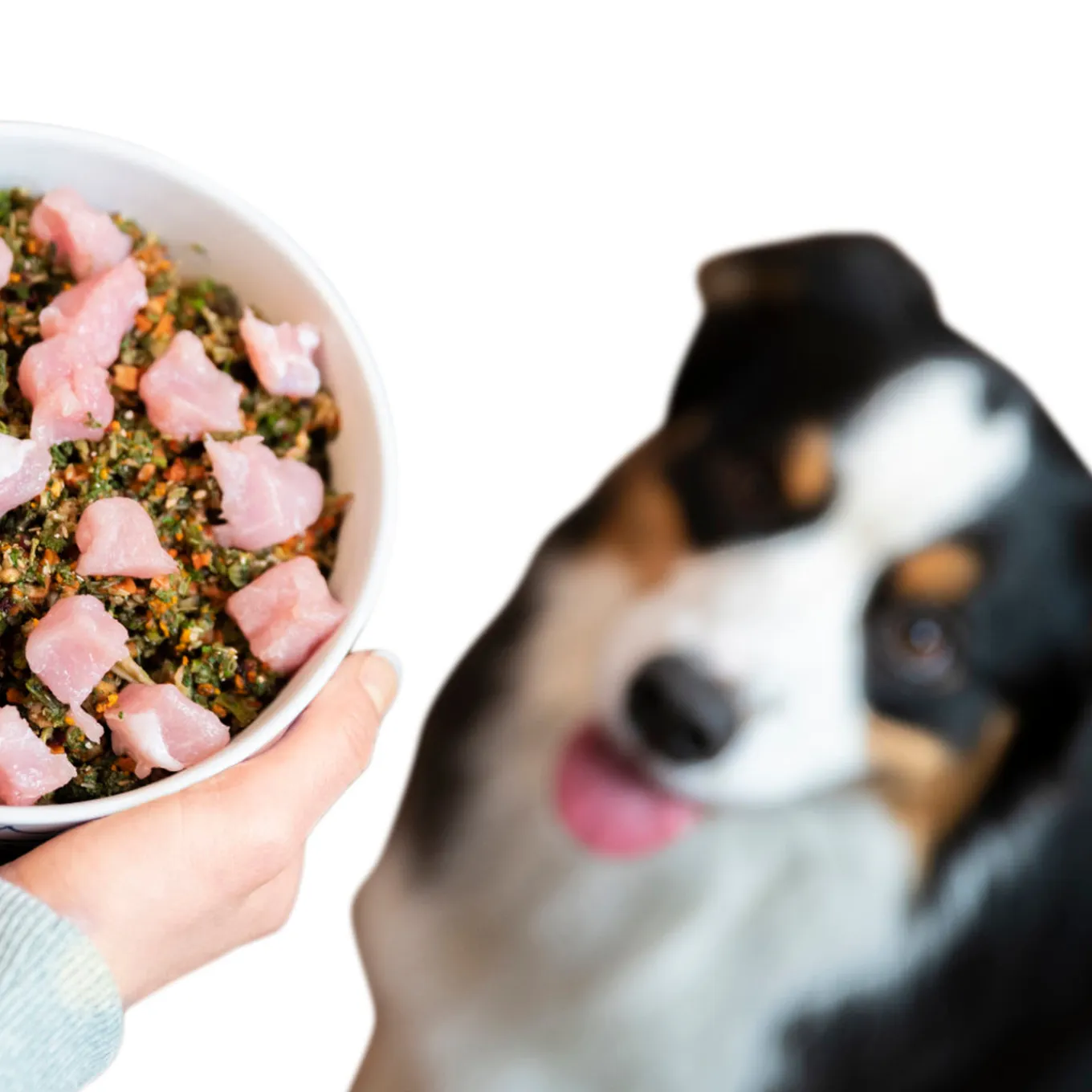 Dr. Harvey's Raw Vibrance Grain Free Raw Diets Dog Food