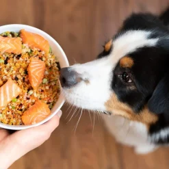Dr. Harvey's Veg-to-Bowl Dehydrated Whole Food Grain-Free Pre-Mix Dog Food