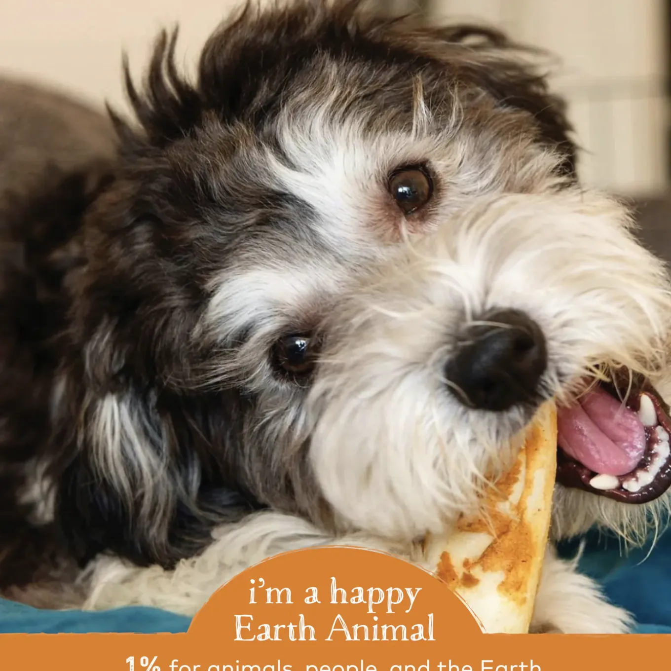 Earth Animal No-Hide Chews for Dogs