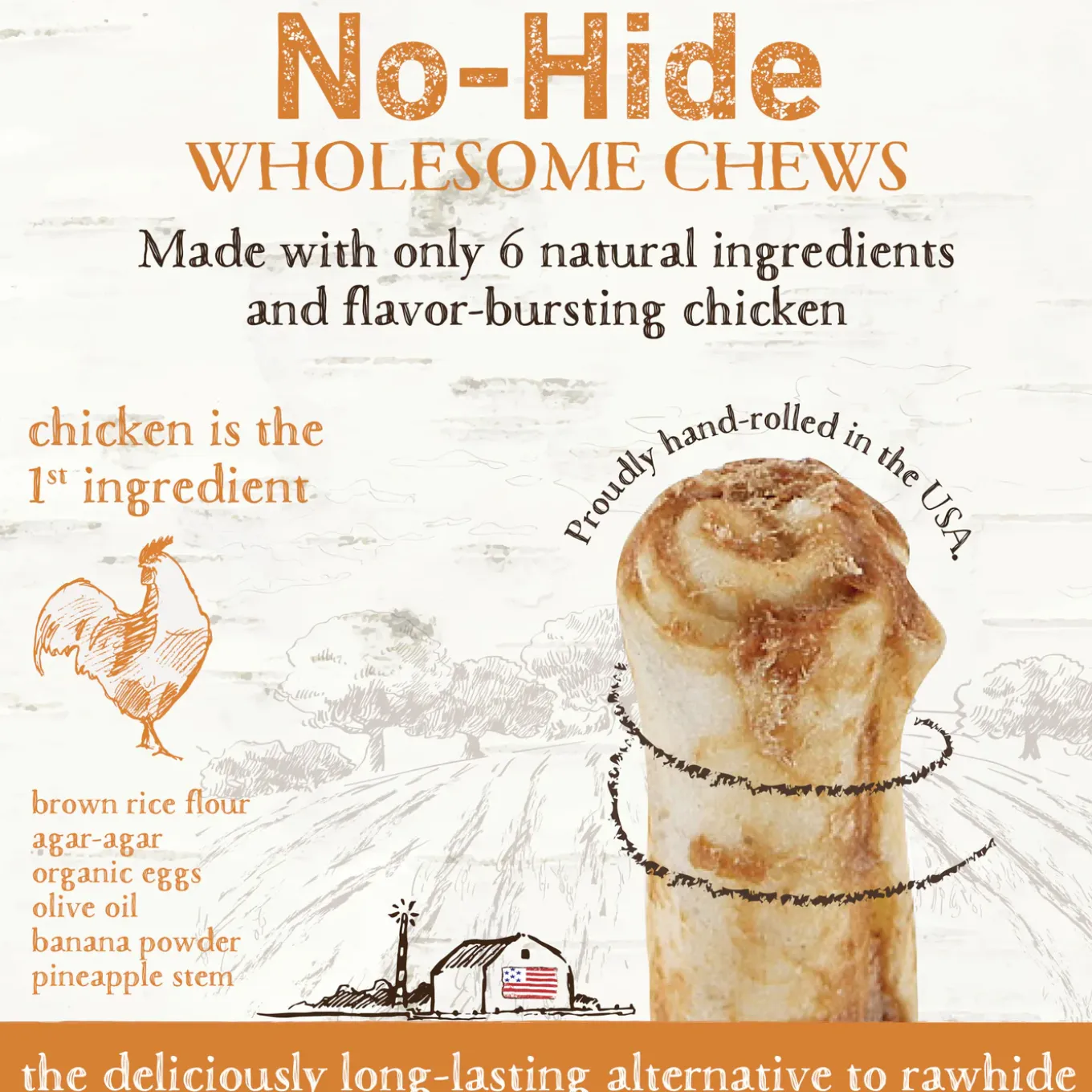 Earth Animal No-Hide Chews for Dogs