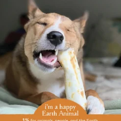 Earth Animal No-Hide Chews for Dogs