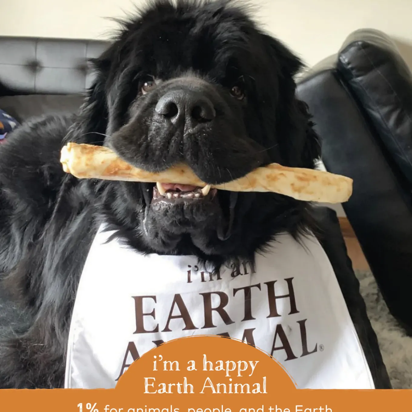 Earth Animal No-Hide Chews for Dogs