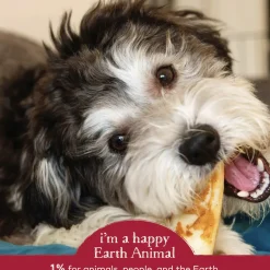 Earth Animal No-Hide Chews for Dogs