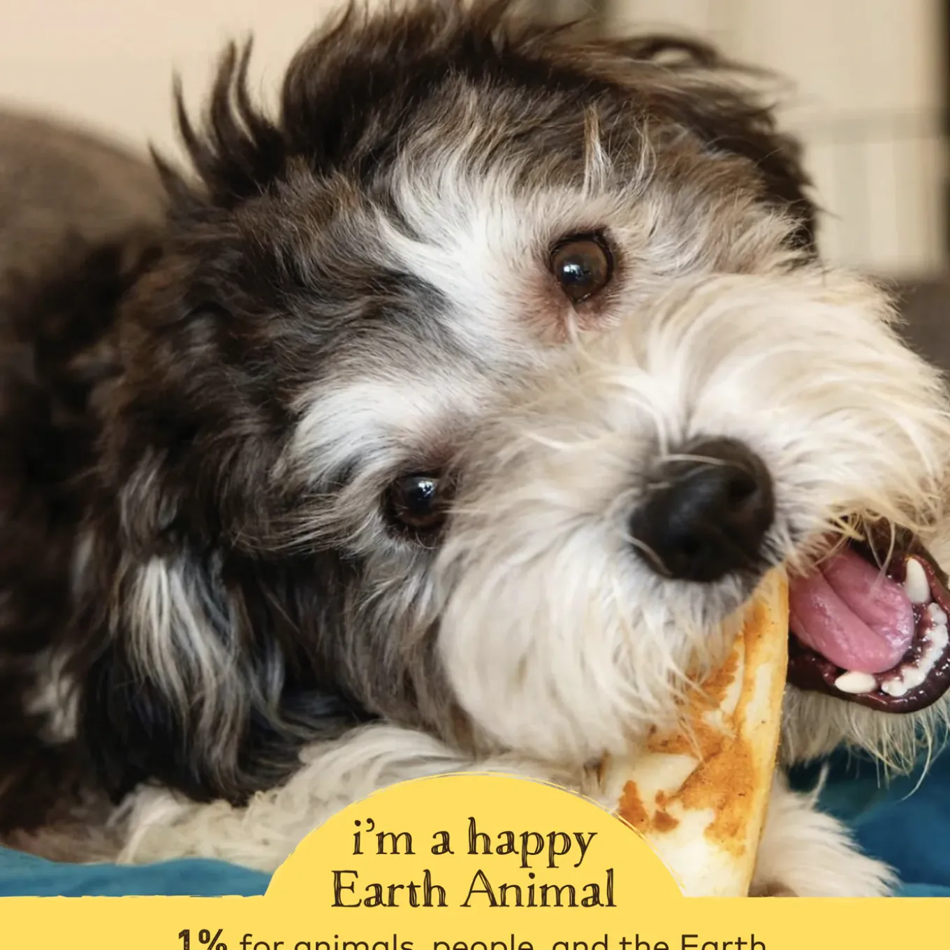 Earth Animal No-Hide Chews for Dogs