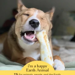 Earth Animal No-Hide Chews for Dogs