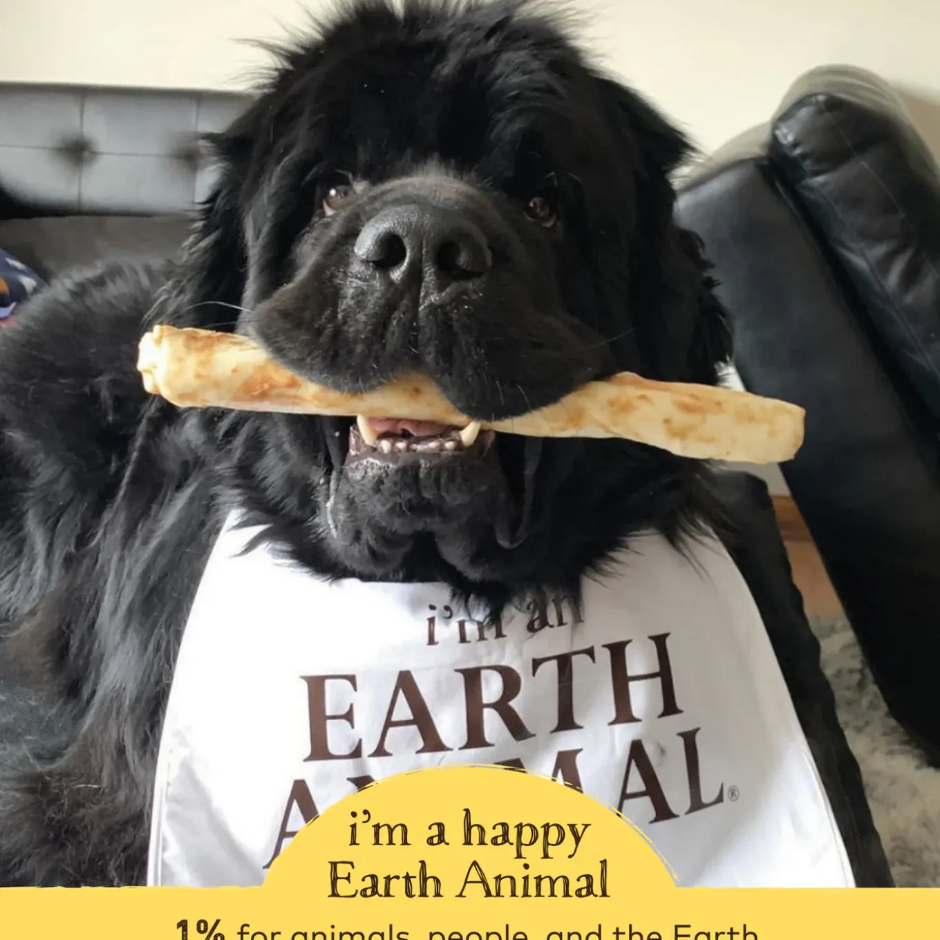 Earth Animal No-Hide Chews for Dogs