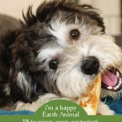 Earth Animal No-Hide Chews for Dogs
