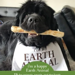 Earth Animal No-Hide Chews for Dogs