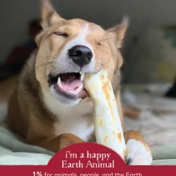 Earth Animal No-Hide Chews for Dogs