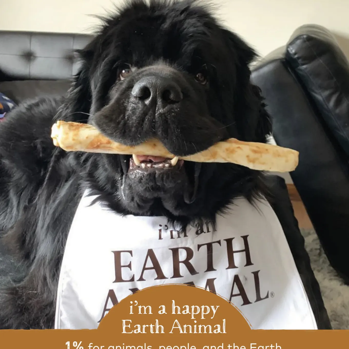 Earth Animal No-Hide Chews for Dogs