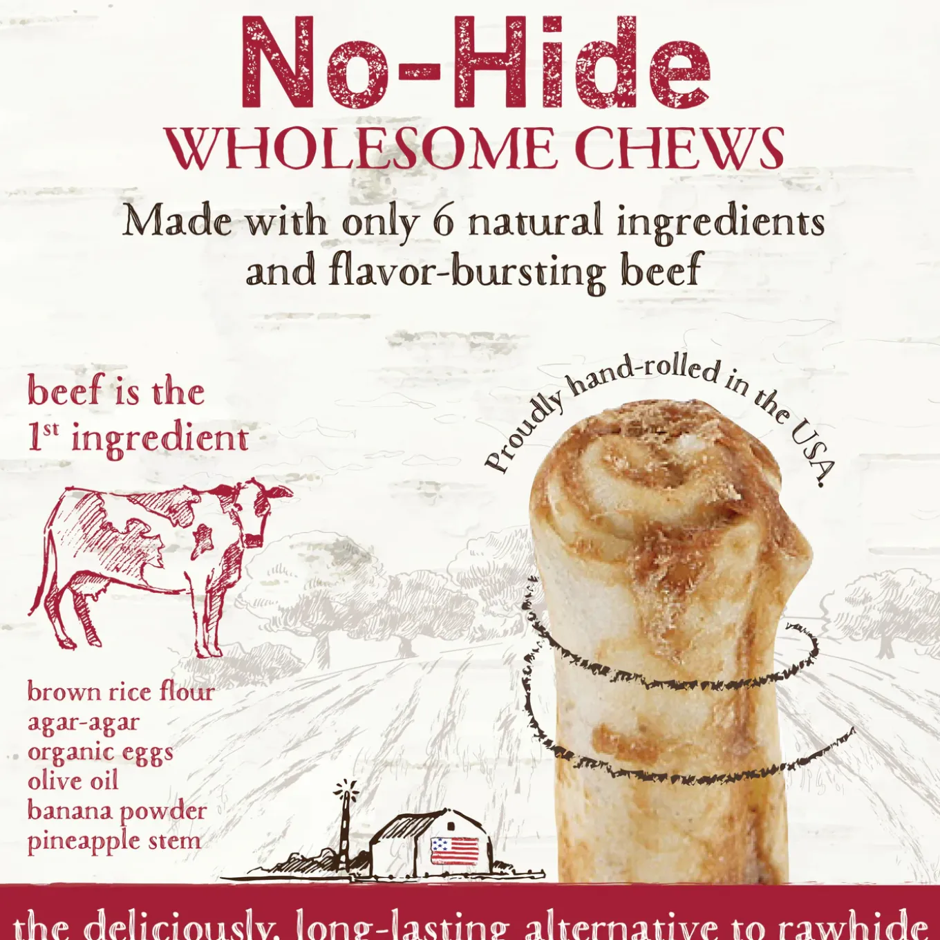 Earth Animal No-Hide Chews for Dogs