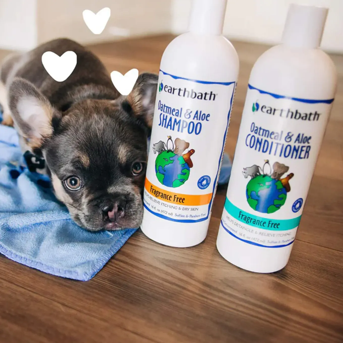 Earthbath Sulfate & Paraben Free Shampoo for Dogs & Cats